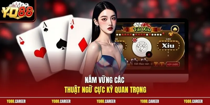 Nắm vững các thuật ngữ cực kỳ quan trọng
