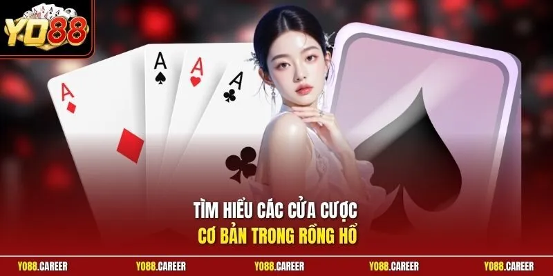 TÌm hiểu các cửa cược cơ bản trong Rồng Hổ